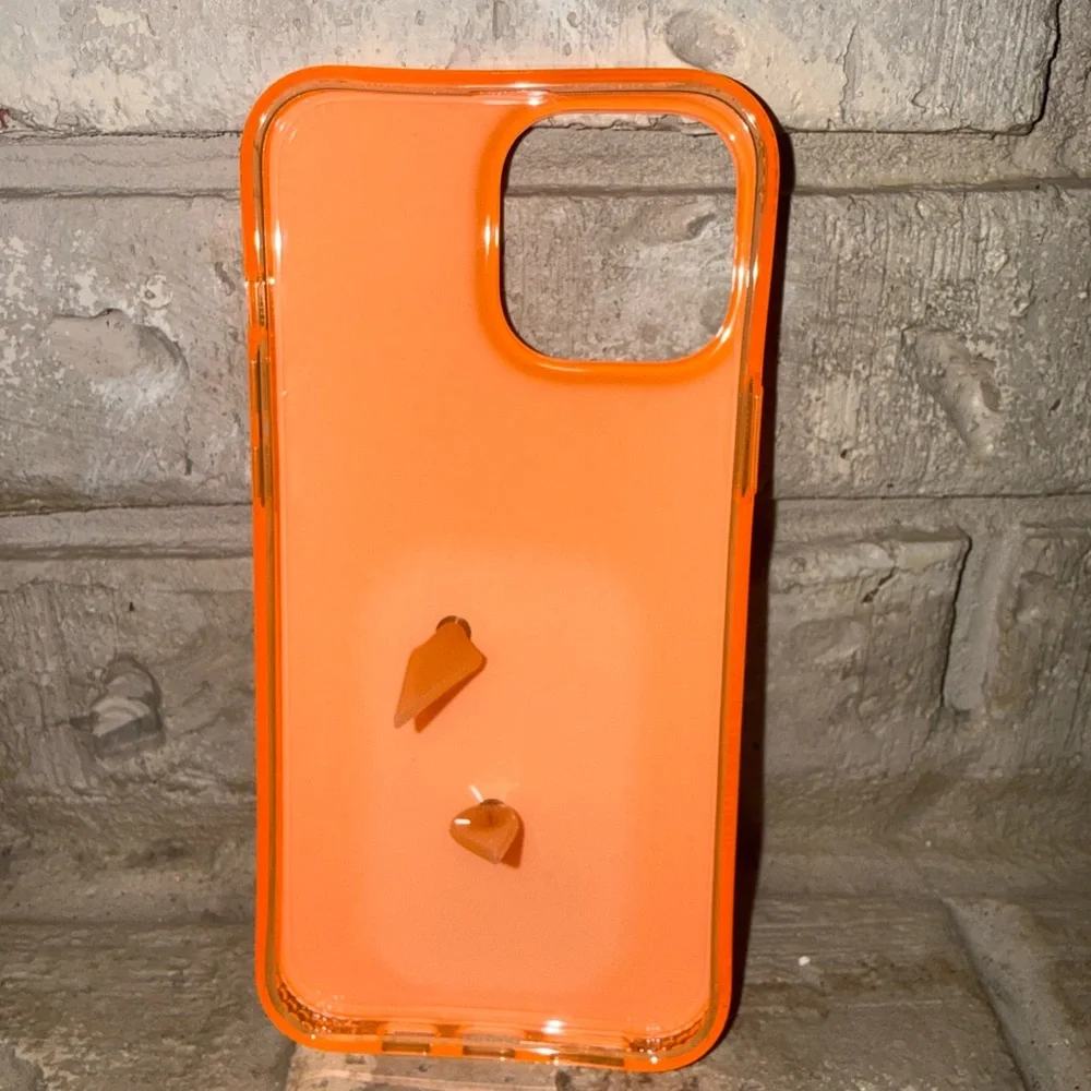 Loopy - 13 Pro Max - Floral Burst Phone Cover with Pouch